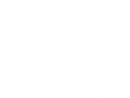 Mighty Spark Food