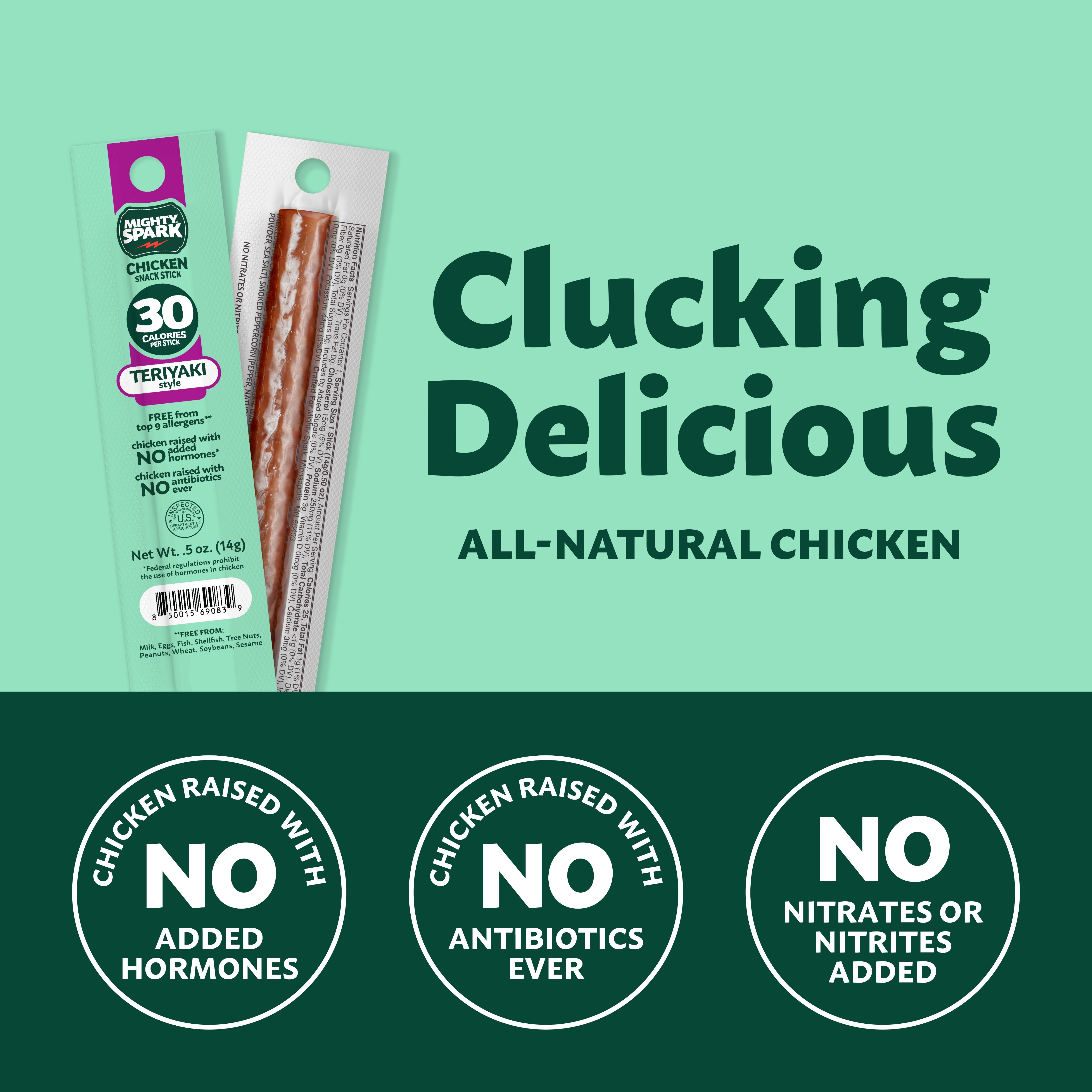 Teriyaki Style Chicken Mini Sticks – Mighty Spark Food